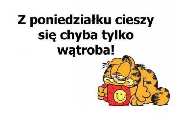 Zmęczony garfield z kawą w poniedziałek